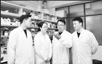 山东农业大学教授胡大刚（右二）在讲解苹果软化机制。 受访者供图