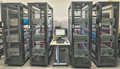 探针计算机：让数据本身找到答案