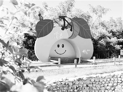 圖為山西蒲縣被子垣生態有機果園。受訪單位供圖
